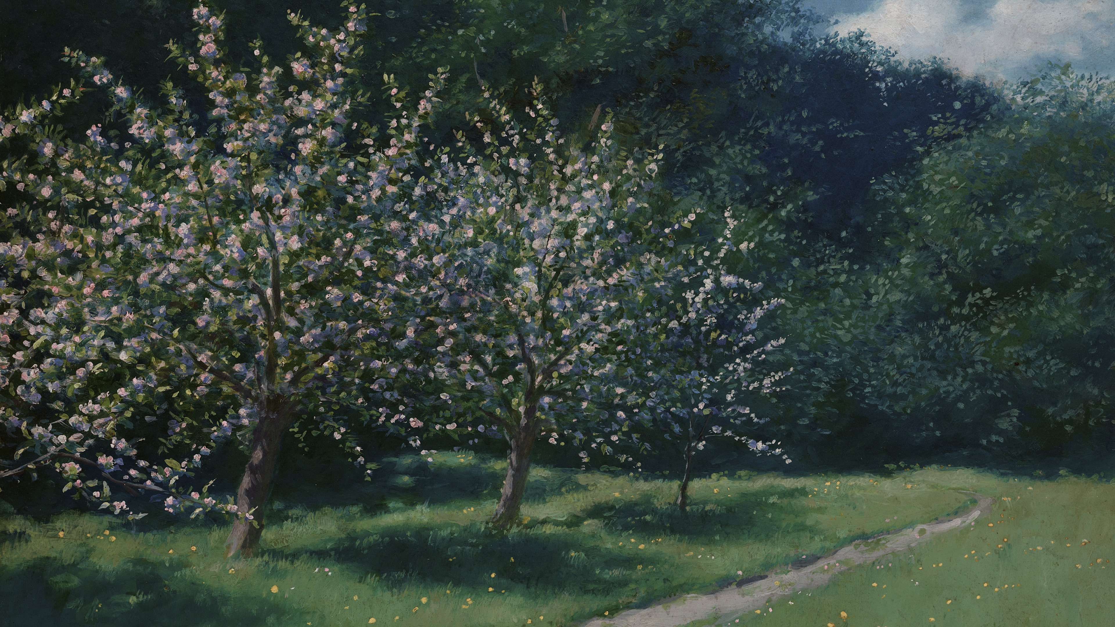 Shadowed Orchard Glade